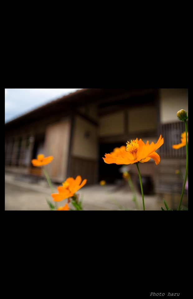 原鹿の旧豪農屋敷