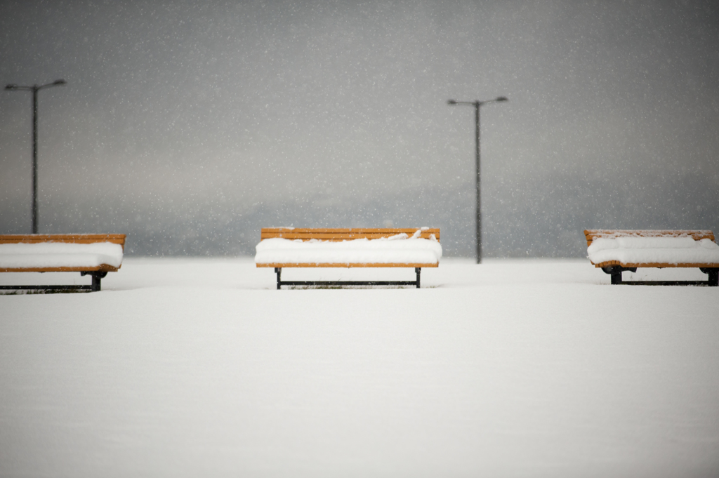 降り積もる雪の中に。