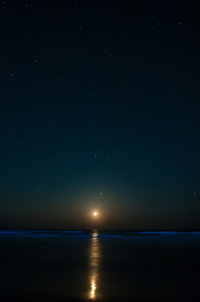 月明かりと星空と夜光虫の波。