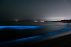 夜光虫の浜。