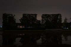 夜の築地松