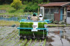 田植え機の３人。