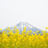 春の風景。