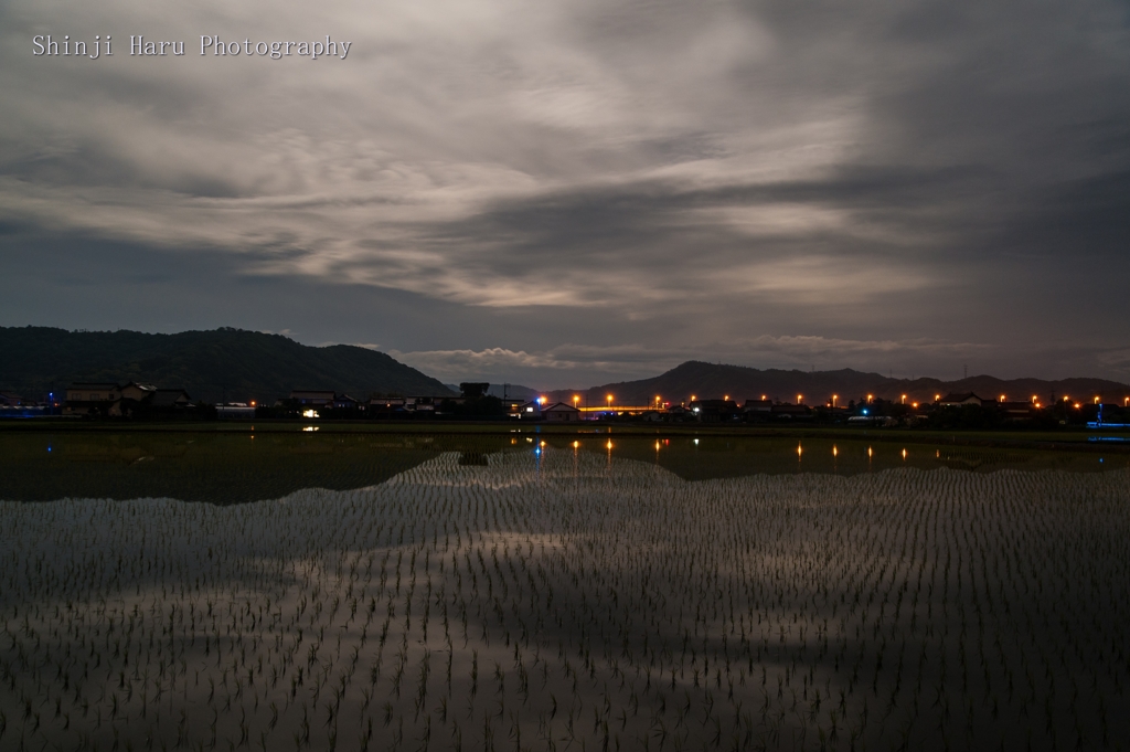 月光夜景、水田。