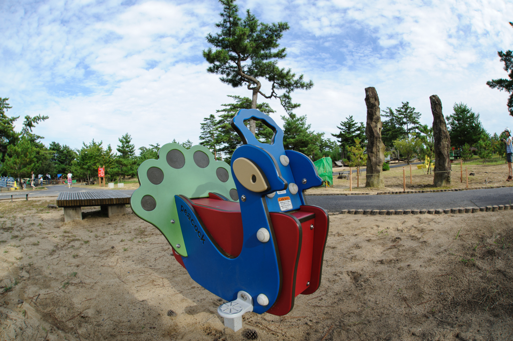 公園って楽しい、ピーコック。