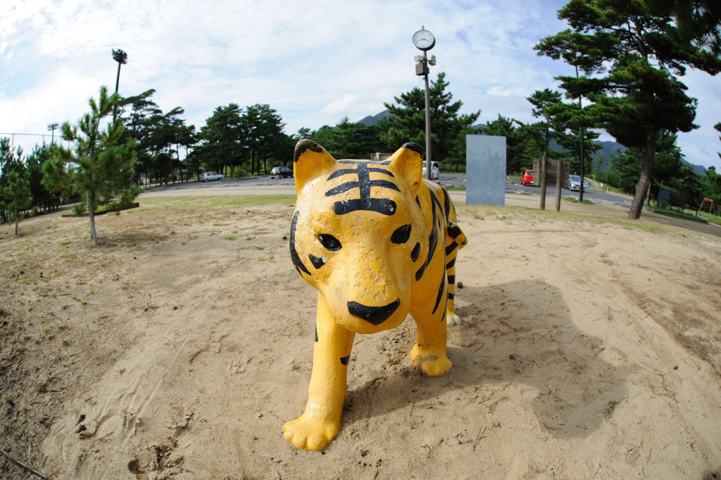 公園って楽しい、トラ。