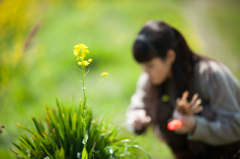 菜の花のある風景、土筆とり。