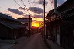 夕日に照らされて。
