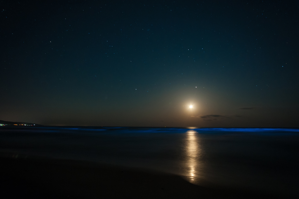 月明かりと星空と夜光虫。