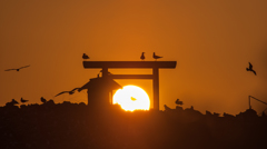 経島夕景。