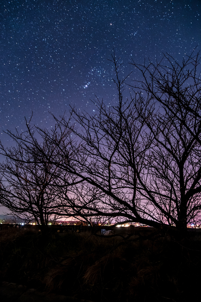 神西湖、星景。