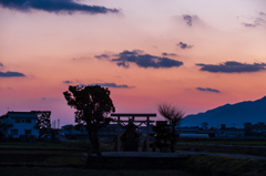茜空。