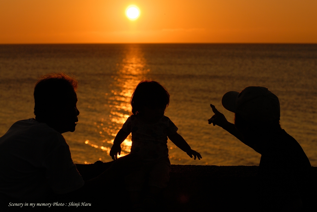 夕日だよ。