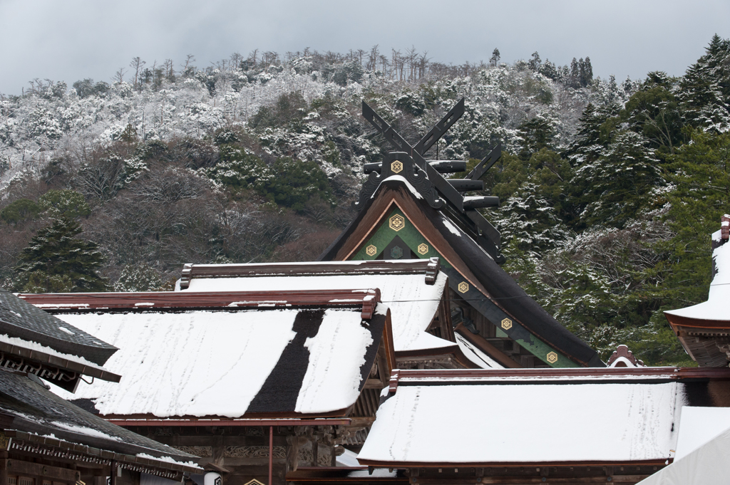 雪の出雲大社。