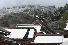 雪の出雲大社。