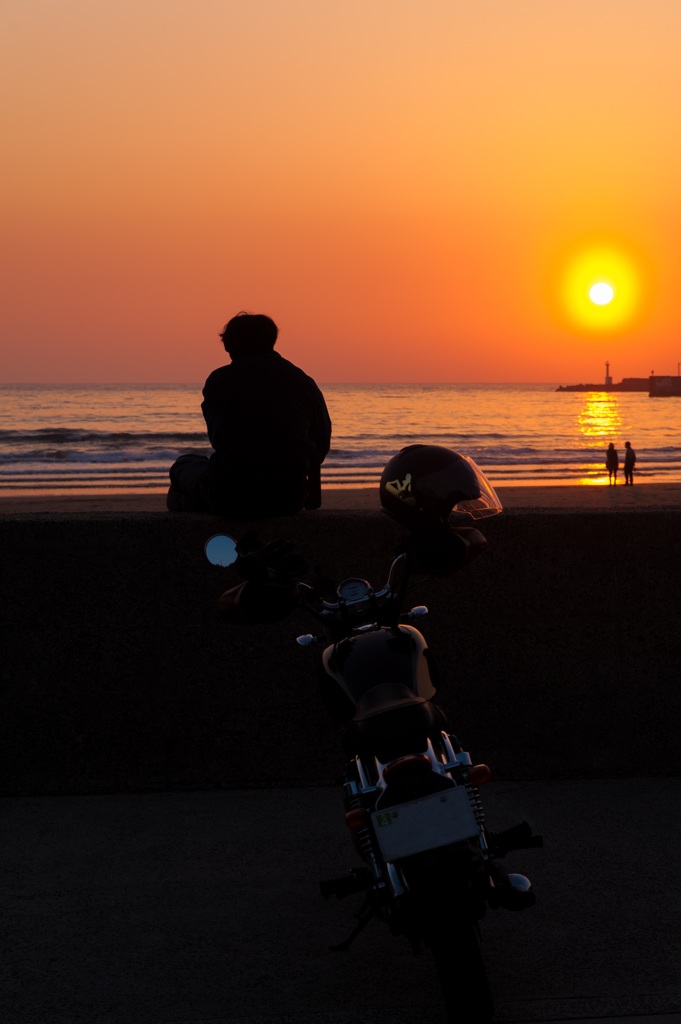夕日に。