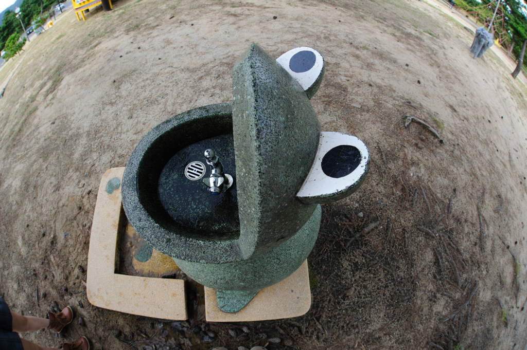 公園って楽しい、カエルの水呑場。