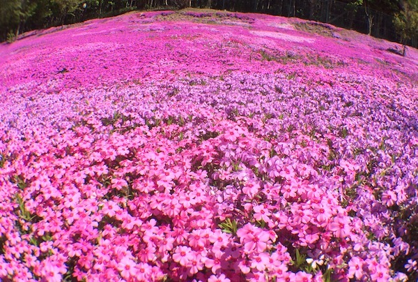 滝上町にて