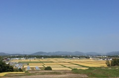 秋晴れ