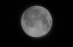 月