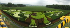 田んぼアート at東鷹栖