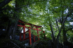 石山寺・三十八所権現社