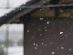 雪