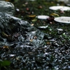 雨