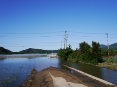 台風一過