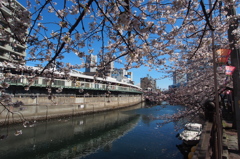 大岡川