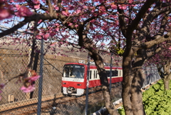 三浦海岸駅付近