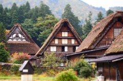 白川郷にて３