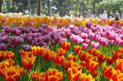 横浜公園