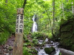 奥入瀬渓流２