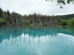 青い池