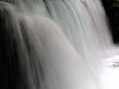 奥入瀬渓流４