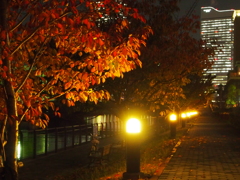 横浜撮影