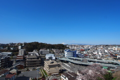 自動車教習所と富士山