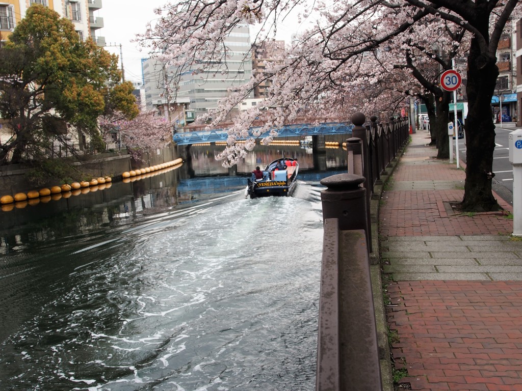 大岡川