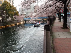 大岡川