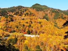 美ヶ原高原