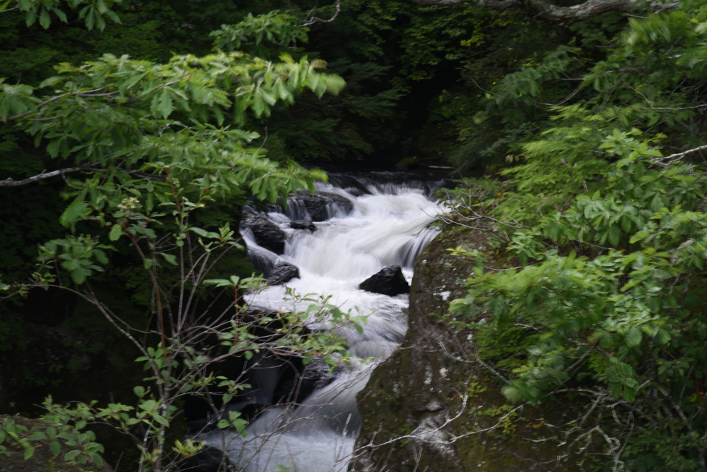 滝巡り（竜頭の滝）