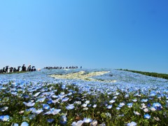 ひたち海浜公園２