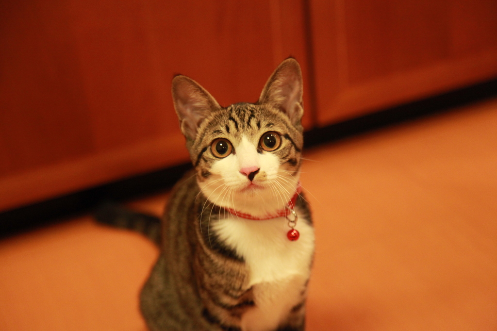 うん？