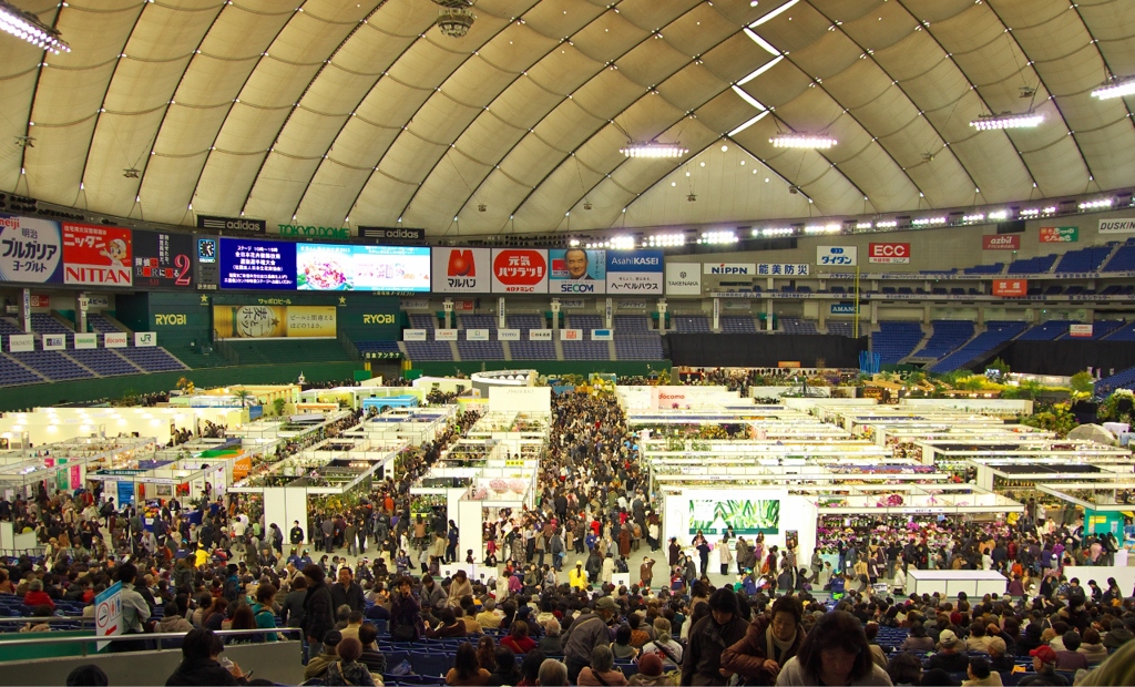 ドーム内の展示会場