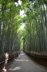 竹林・嵐山