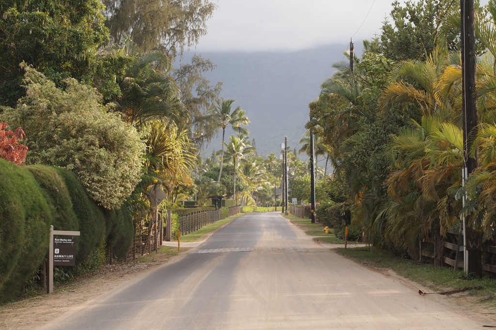 Hanalei, Kauai 4