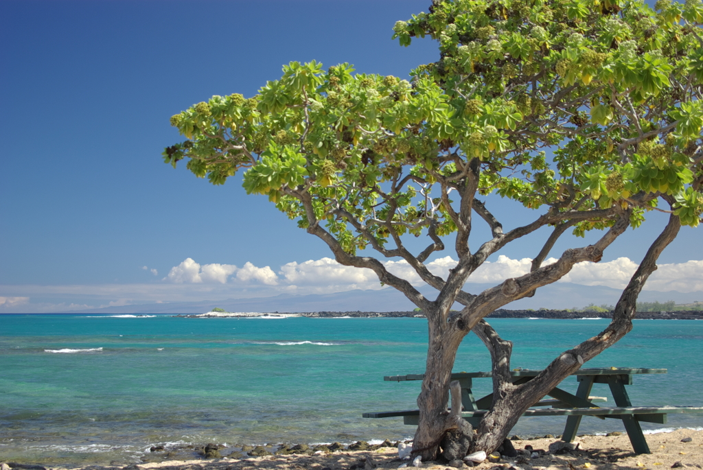Mahaiula Bay 1