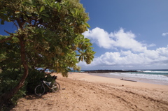 Kealia Beach, Kauai 1