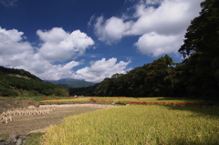 表丹沢